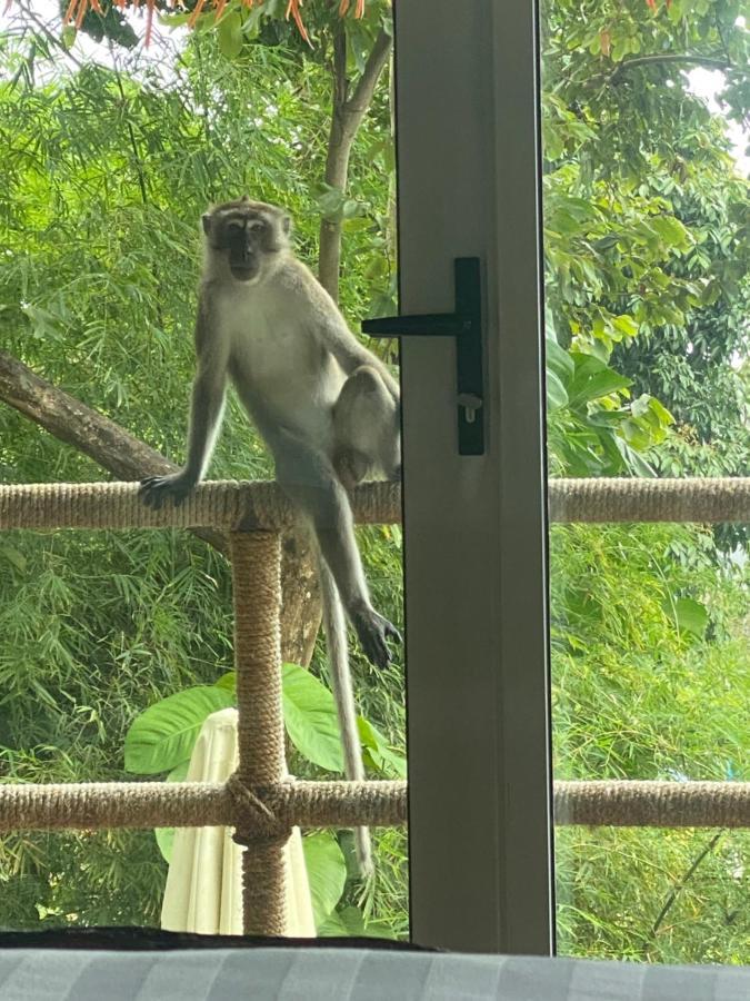Myrus Resort Langkawi パンタイ・サナング エクステリア 写真
